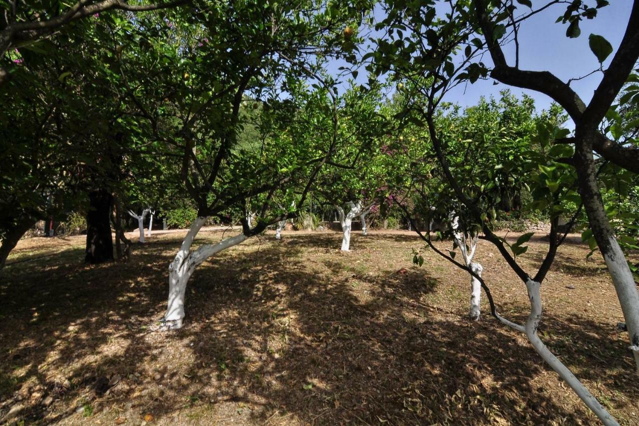 Ionian Garden Villas - Villa Pietra Benícesz Kültér fotó